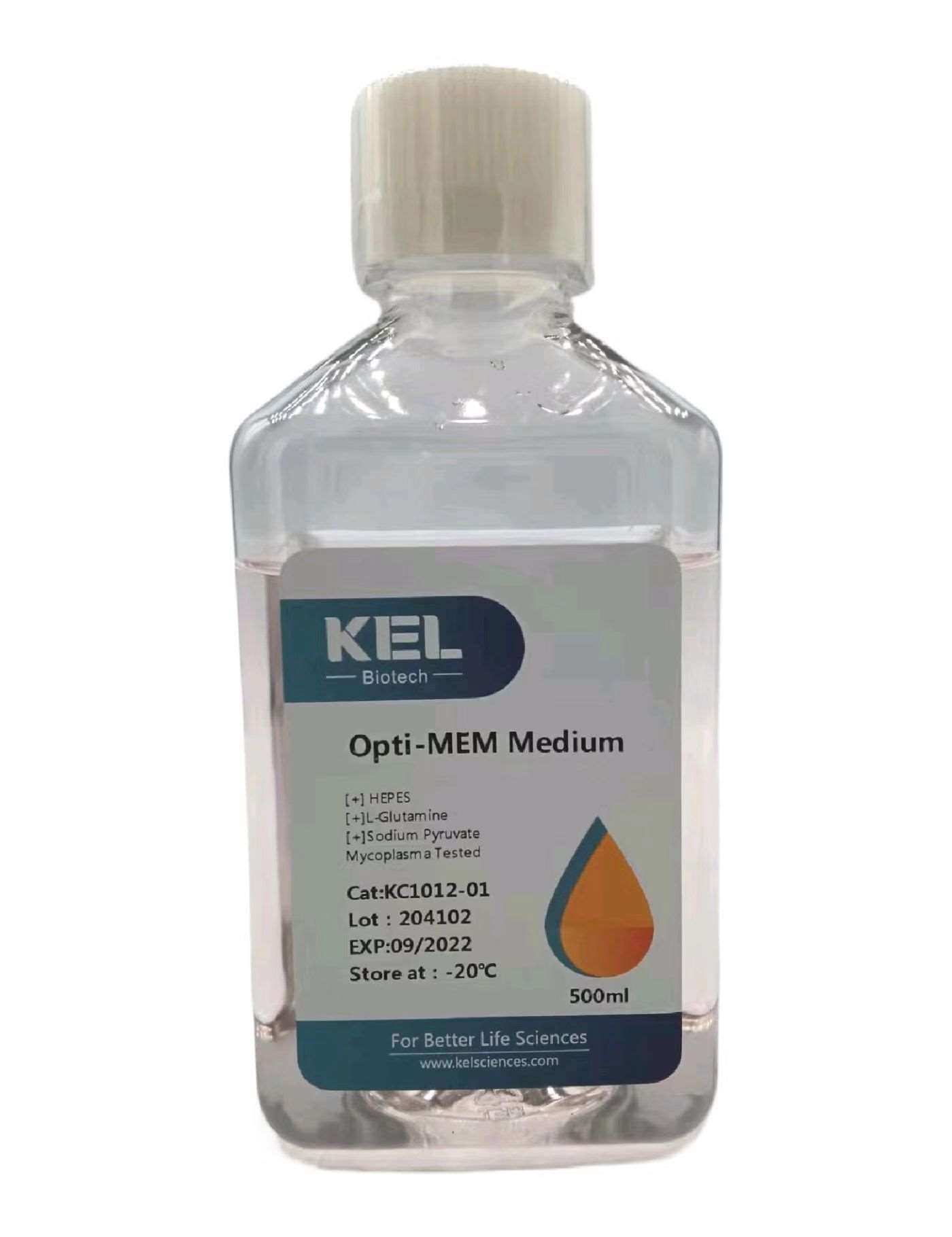 Opti-MEM Medium without Phenol Red  Opti-MEM减血清转染培养基(不含酚红)