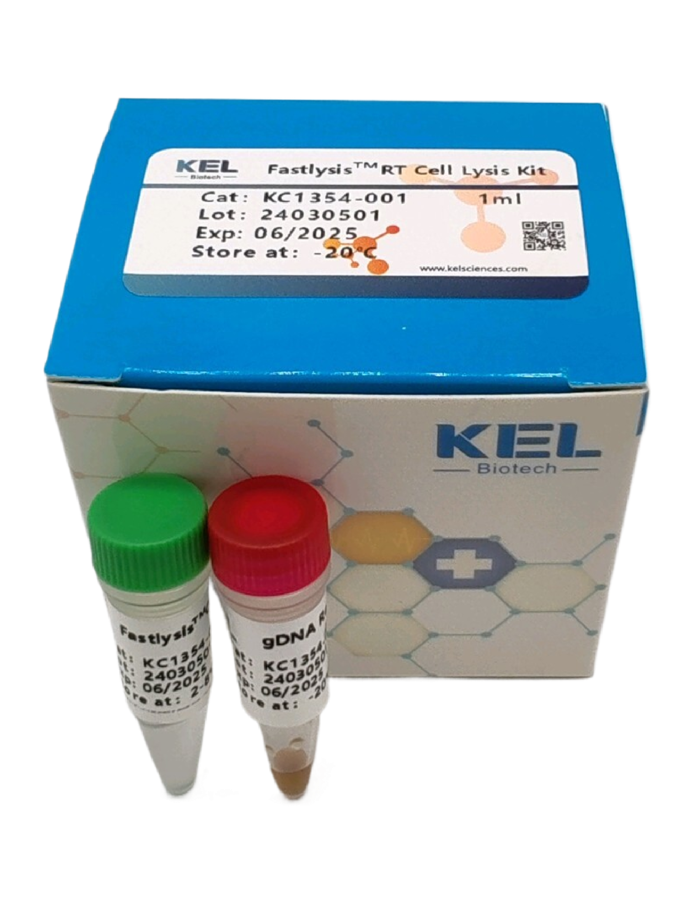 FastlysisTM RT Cell Lysis Kit