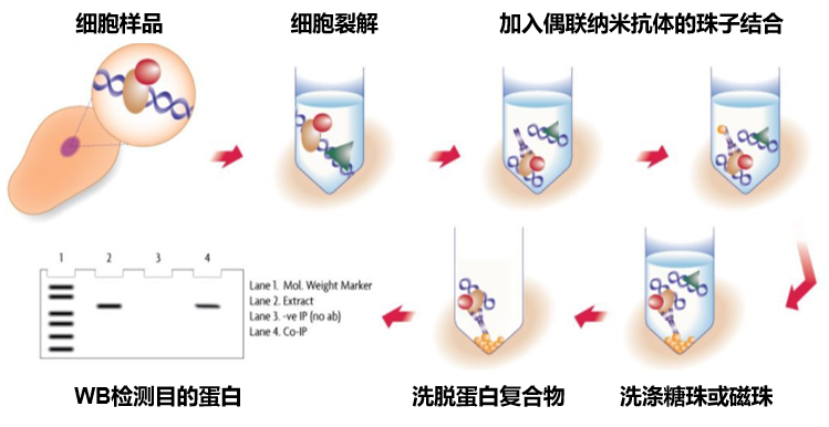 说明书示意图.png